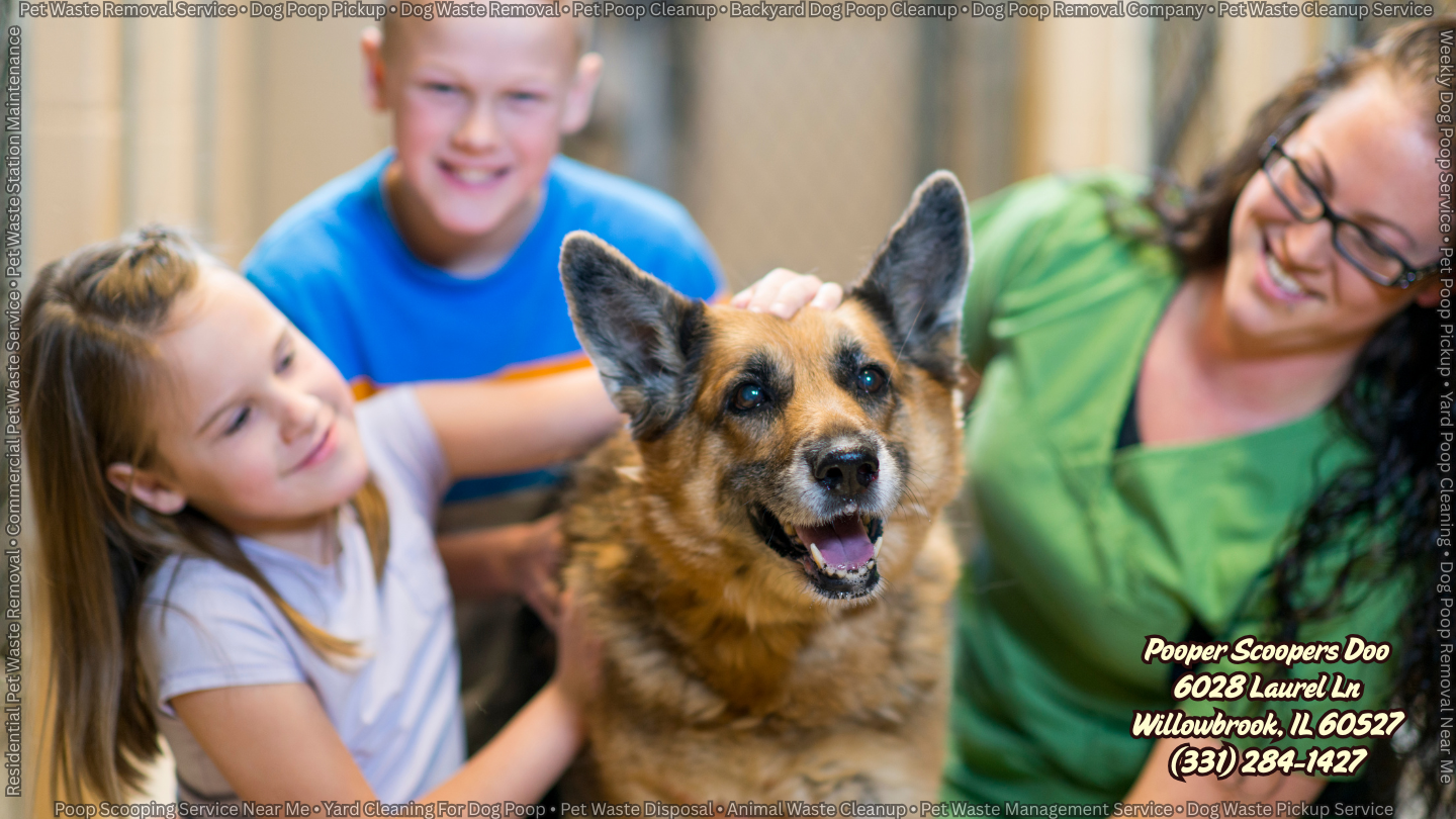 Darien Dog Poop Pickup - (331) 284-1427 Pooper Scoopers Doo