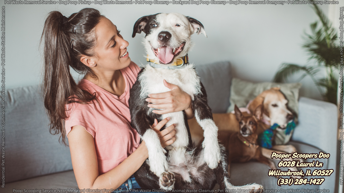 Westmont Pet Waste Cleanup - (331) 284-1427 Pooper Scoopers Doo